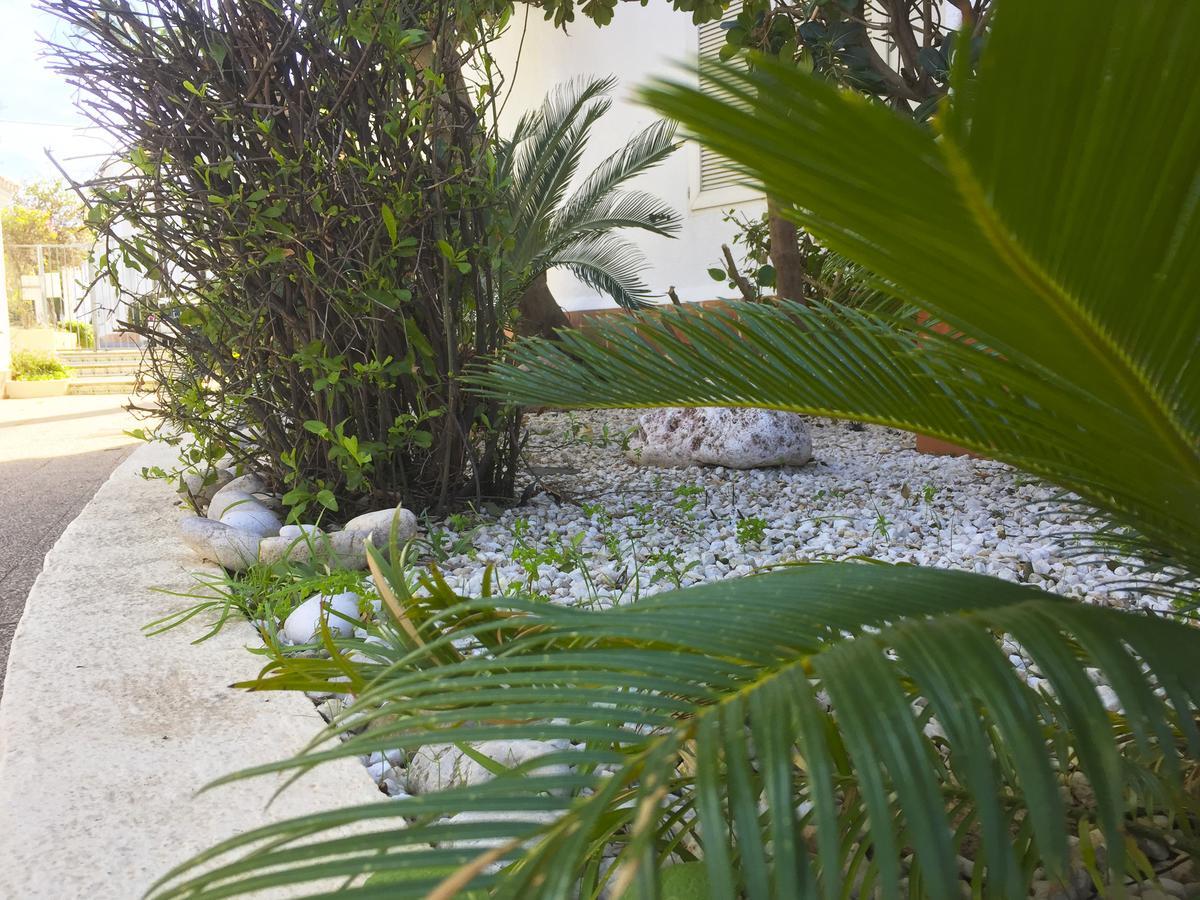 Anacasa Oasis Beach II Marineta Ap2116 Denia Zewnętrze zdjęcie